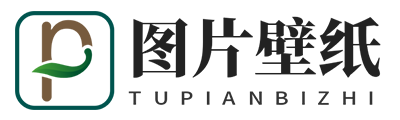 AF相册